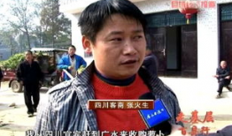 罗卜视频,揭秘生活百态，畅享视觉盛宴